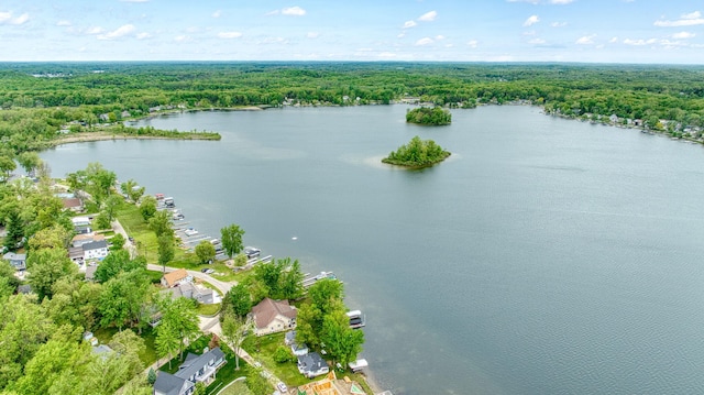 282 Evans Trl, Tipton, MI 49287 - aerial overview of property's location featuring a heavily wooded area and a nearby body of water