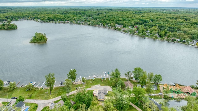 282 Evans Trl, Tipton, MI 49287 - drone / aerial view of a heavily wooded area and a large body of water