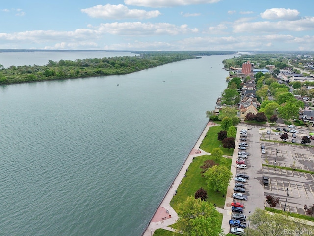 781 2nd St Unit 61, Wyandotte, MI 48192 - bird's eye view of a nearby body of water