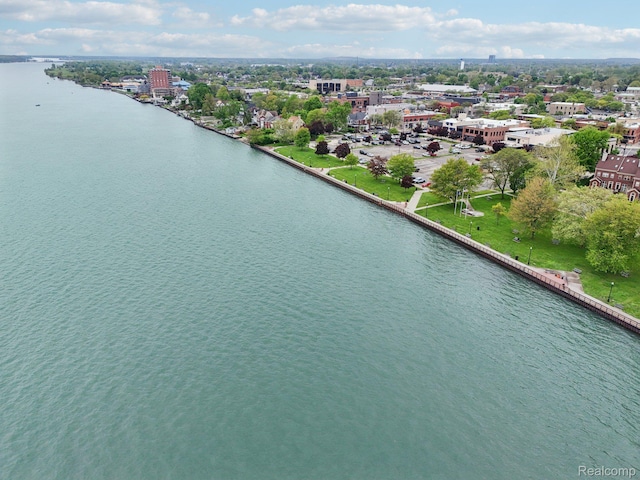 781 2nd St Unit 61, Wyandotte, MI 48192 - drone / aerial view of a large body of water