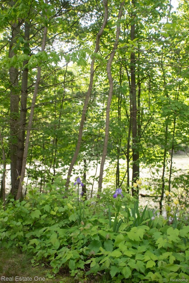 2869 Breckenridge Dr Unit 95, Brighton, MI 48114 - photo 34