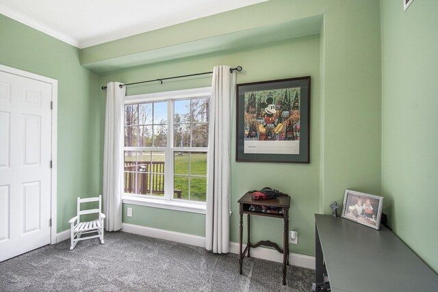 19378 Hackett Lake Highway, Onaway, MI 49765 - sitting room with ornamental molding, baseboards, and carpet floors