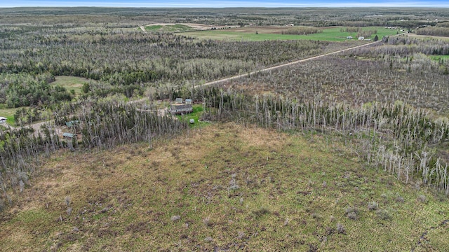 19378 Hackett Lake Highway, Onaway, MI 49765 - aerial view of sparsely populated area