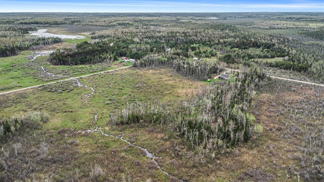19378 Hackett Lake Highway, Onaway, MI 49765 - aerial overview of property's location with a heavily wooded area