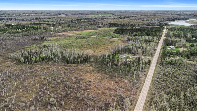 19378 Hackett Lake Highway, Onaway, MI 49765 - aerial overview of property's location