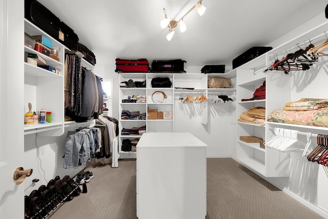5001 Forest Vly, Clarkston, MI 48348 - walk in closet with carpet floors