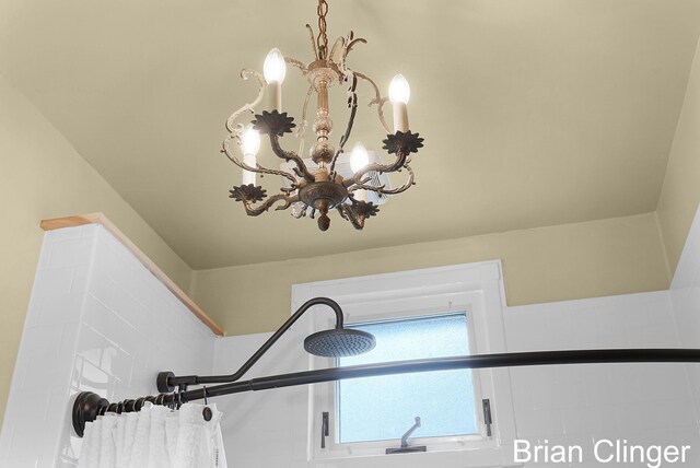 117 Palmer St NE, Grand Rapids, MI 49505 - detailed view of a chandelier