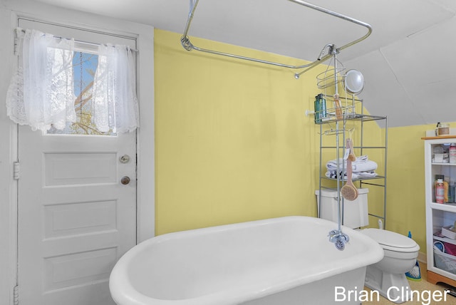 117 Palmer St NE, Grand Rapids, MI 49505 - full bathroom with a soaking tub and vaulted ceiling