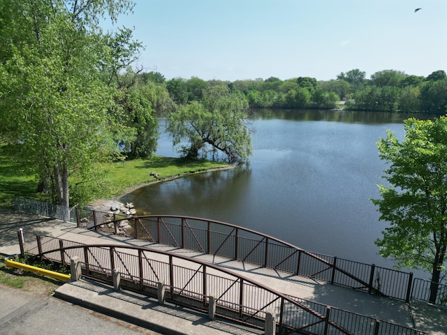 117 Palmer St NE, Grand Rapids, MI 49505 - water view