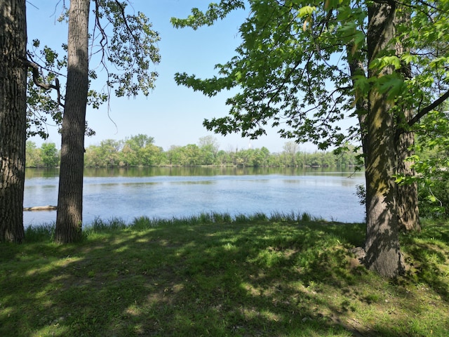 117 Palmer St NE, Grand Rapids, MI 49505 - water view