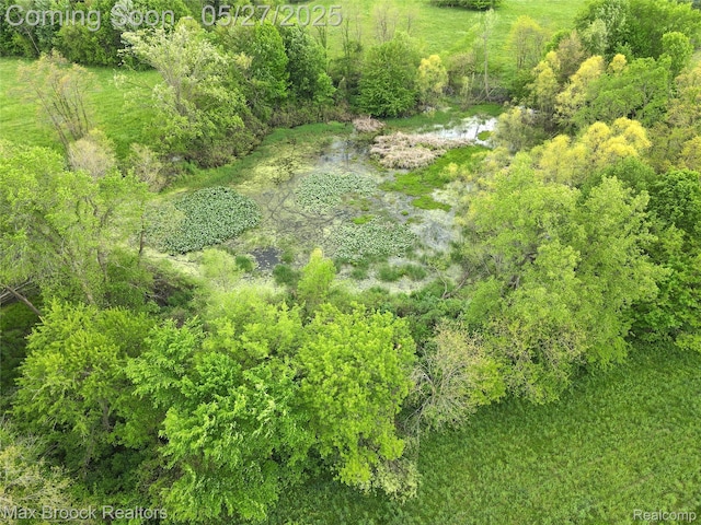 58282 Savage Rd, Vandalia, MI 49095 - aerial view