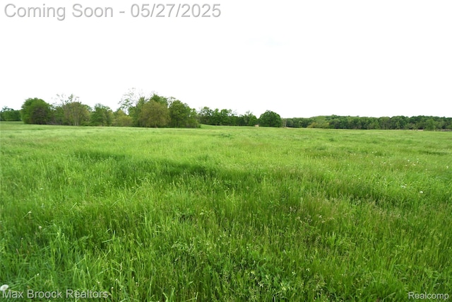 58282 Savage Rd, Vandalia, MI 49095 - view of local wilderness with rural landscape