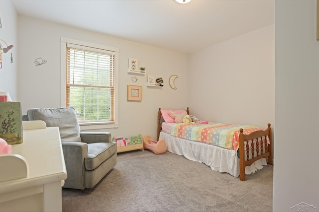 6115 N Belsay Rd, Flint, MI 48506 - bedroom with carpet flooring