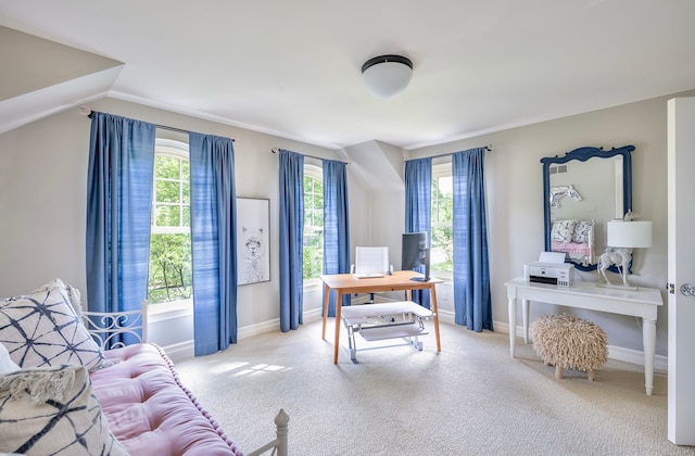 316 Chesterfield Ave, Birmingham, MI 48009 - carpeted home office with healthy amount of natural light and baseboards