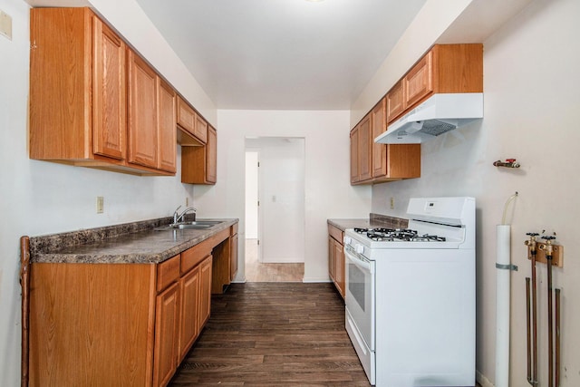 808 Woolsey Dr SW, Grand Rapids, MI 49503 - kitchen featuring white gas range, a sink, under cabinet range hood, dark wood-type flooring, and dark countertops