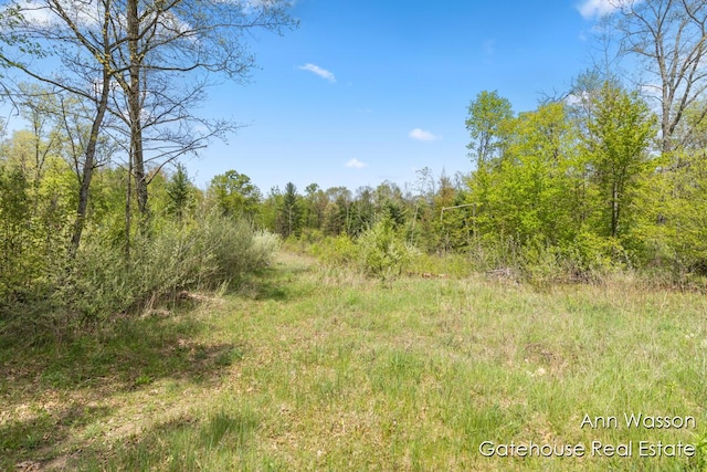 20564 1 Mile Rd, Morley, MI 49336 - photo 26