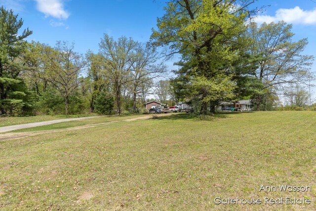 20564 1 Mile Rd, Morley, MI 49336 - photo 29