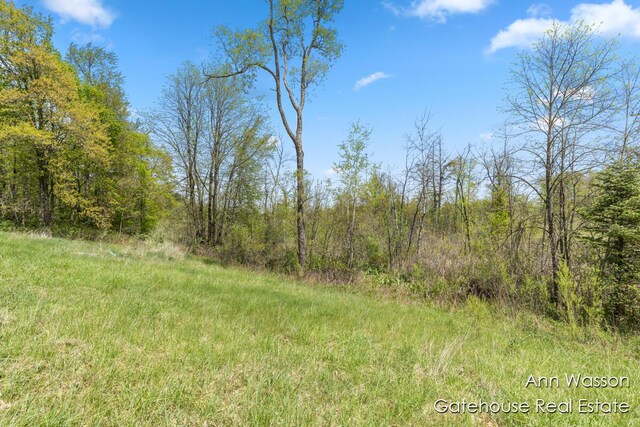 20564 1 Mile Rd, Morley, MI 49336 - photo 30