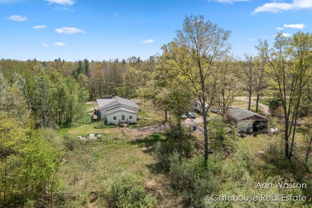 20564 1 Mile Rd, Morley, MI 49336 - photo 31