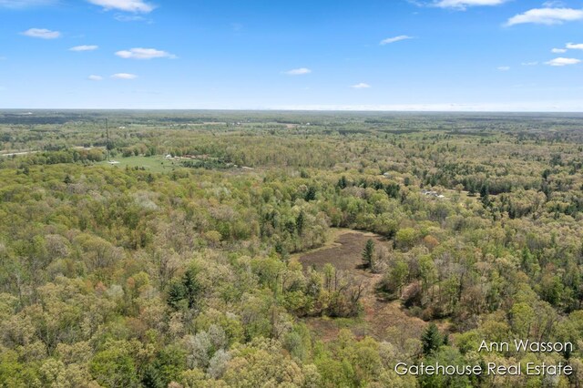 20564 1 Mile Rd, Morley, MI 49336 - photo 32