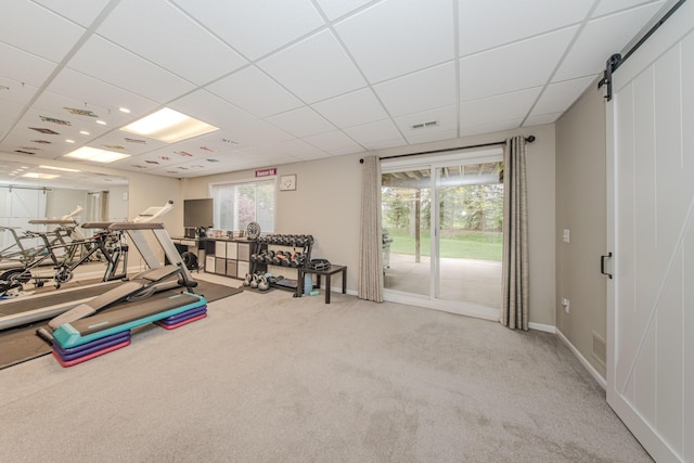 57677 Blossom Valley Trl, New Hudson, MI 48165 - workout area with a paneled ceiling, carpet, a barn door, and baseboards