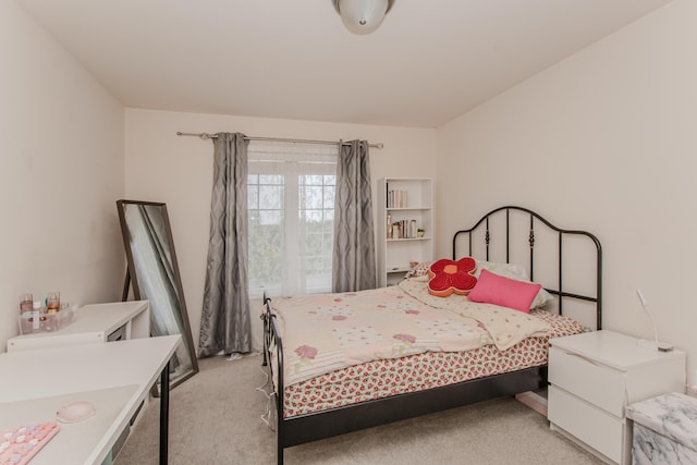 57677 Blossom Valley Trl, New Hudson, MI 48165 - bedroom featuring light colored carpet