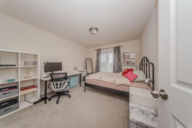 57677 Blossom Valley Trl, New Hudson, MI 48165 - view of carpeted bedroom