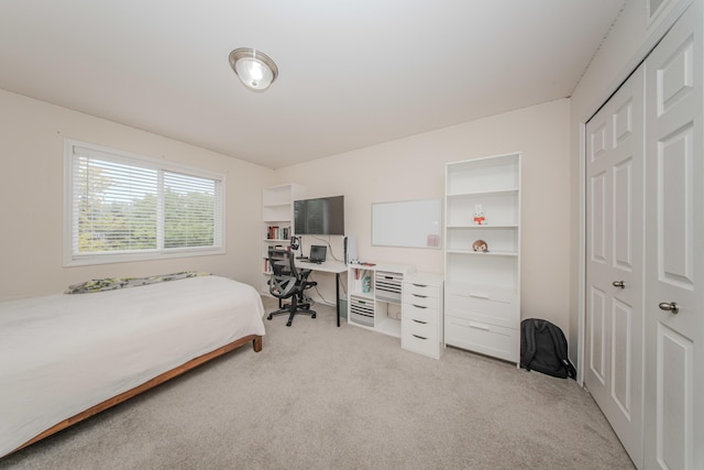 57677 Blossom Valley Trl, New Hudson, MI 48165 - bedroom with light carpet and a closet