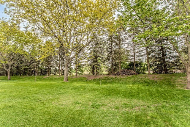 57677 Blossom Valley Trl, New Hudson, MI 48165 - view of grassy yard