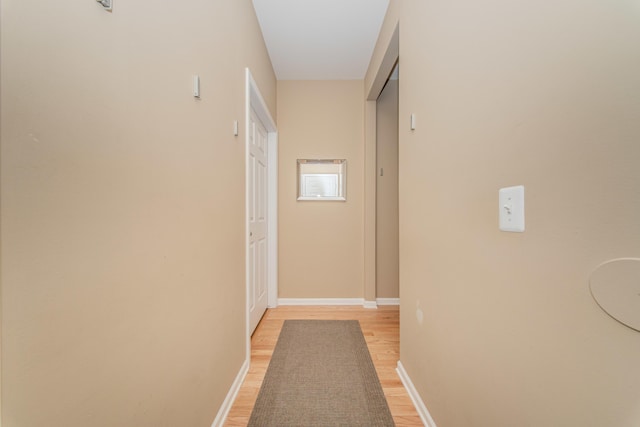57677 Blossom Valley Trl, New Hudson, MI 48165 - hallway featuring light wood-style flooring and baseboards
