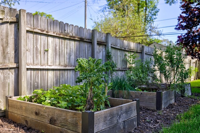 view of yard featuring a garden