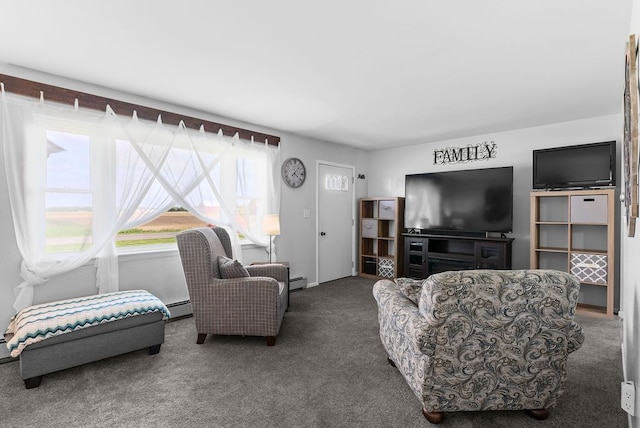 19354 Bueche Rd, New Lothrop, MI 48460 - living area featuring carpet and a baseboard radiator