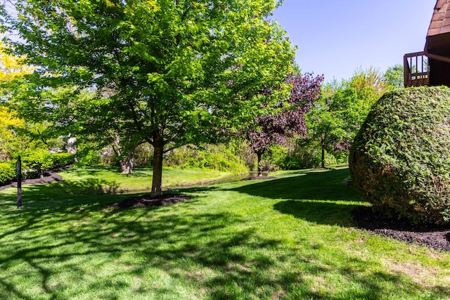 38554 Lanse Creuse St, Harrison Township, MI 48045 - view of green lawn