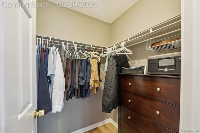326 Redmaple Ln, Brighton, MI 48116 - walk in closet featuring wood finished floors