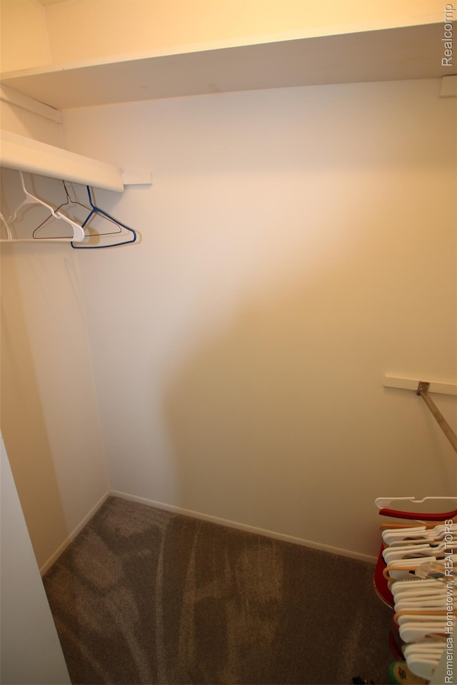 44703 Erin Dr, Plymouth, MI 48170 - spacious closet with carpet