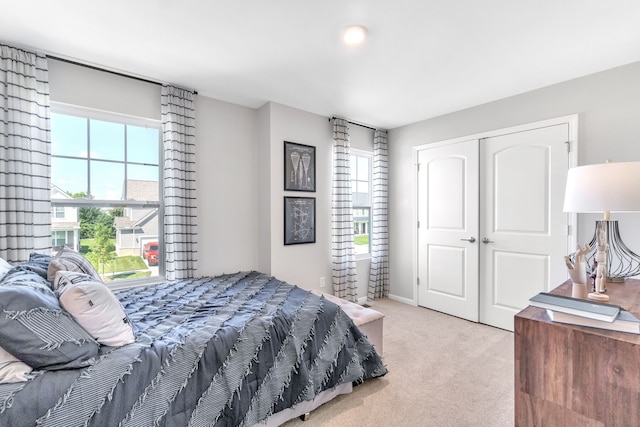 27144 Silo Dr, Saline, MI 48176 - bedroom with carpet, multiple windows, a closet, and baseboards
