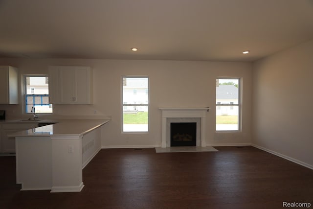 27144 Silo Dr, Saline, MI 48176 - kitchen with light countertops, dark wood-style flooring, healthy amount of natural light, a peninsula, and recessed lighting
