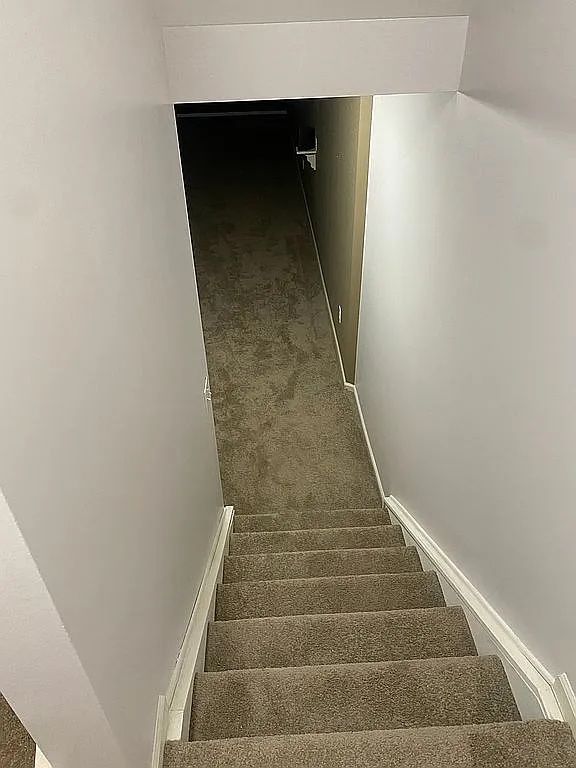 18203 Adri Cir, Walled Lake, MI 48390 - staircase with carpet floors and baseboards
