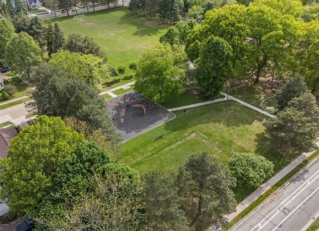 aerial view