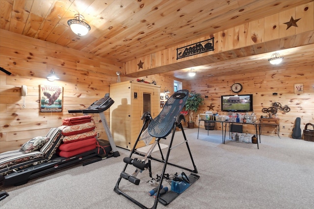 5114 N Oak Rd, Davison, MI 48423 - exercise area featuring carpet flooring, wood walls, and wooden ceiling