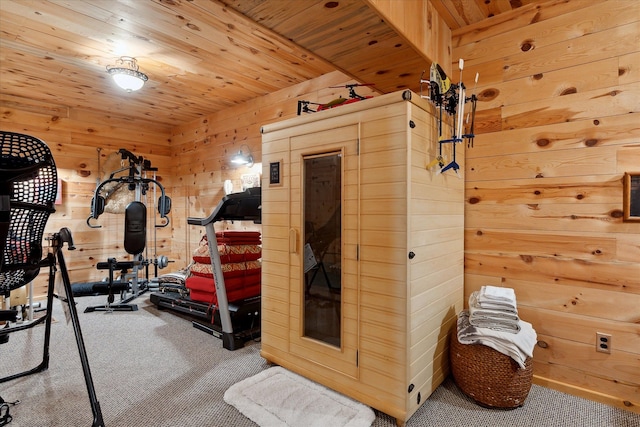 5114 N Oak Rd, Davison, MI 48423 - workout area featuring carpet flooring, wood walls, and wood ceiling