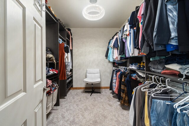 7918 Dan Patch Dr, Jackson, MI 49201 - spacious closet with carpet