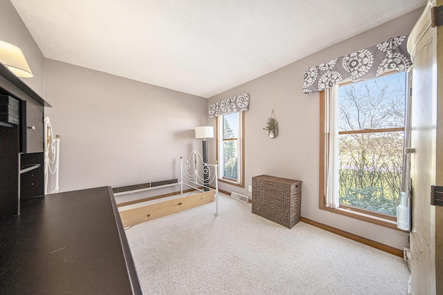 12499 Wilbur Rd, Clinton, MI 49236 - unfurnished bedroom with carpet and baseboards