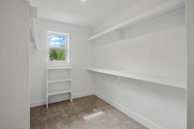 47309 Jefferson Ave, Chesterfield, MI 48047 - walk in closet with carpet floors