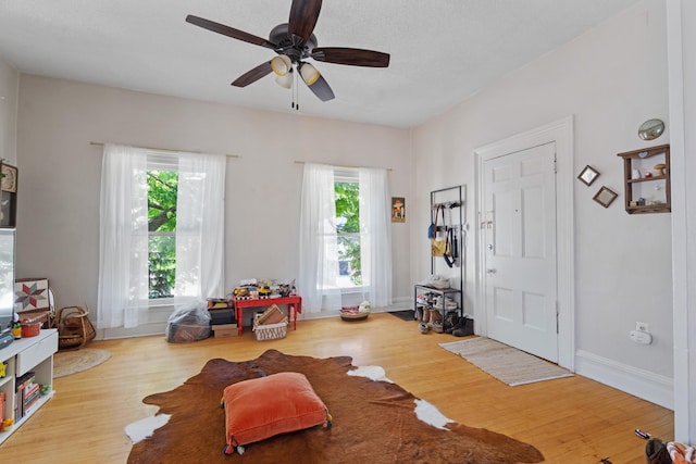 447 W Vine St, Kalamazoo, MI 49001 - rec room featuring plenty of natural light, wood finished floors, and a ceiling fan
