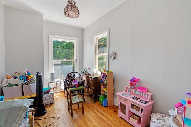 447 W Vine St, Kalamazoo, MI 49001 - playroom with crown molding and light wood-type flooring