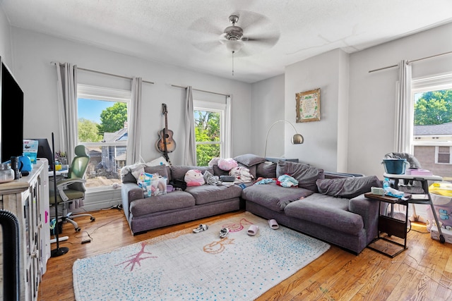 447 W Vine St, Kalamazoo, MI 49001 - living room with wood finished floors, ceiling fan, and a textured ceiling