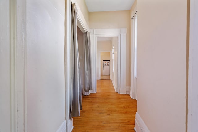 447 W Vine St, Kalamazoo, MI 49001 - hall with light wood finished floors and baseboards