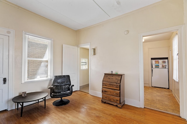 447 W Vine St, Kalamazoo, MI 49001 - living area featuring light wood finished floors and baseboards