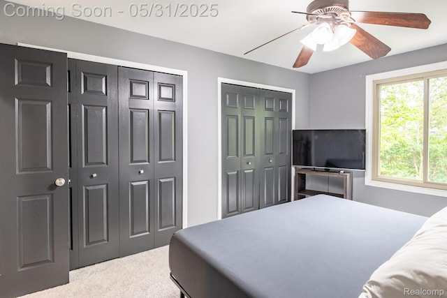 42739 Pond View Dr, Sterling Heights, MI 48314 - carpeted bedroom featuring two closets and a ceiling fan